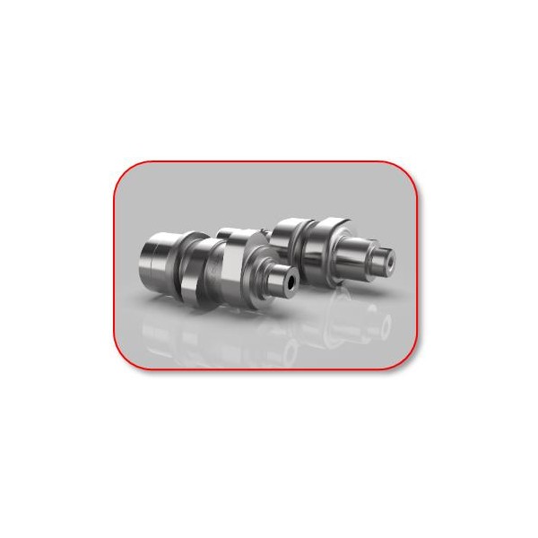 Camshaft