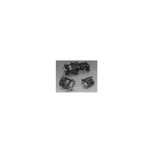 Hydraulic Pump
