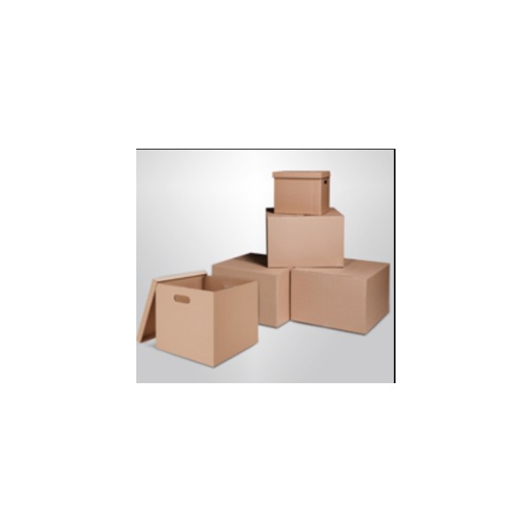 Paper boxes and cardboard boxes
