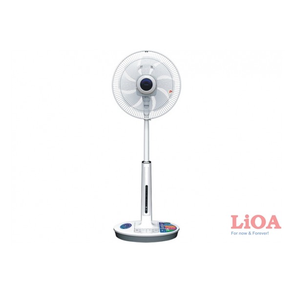FAN