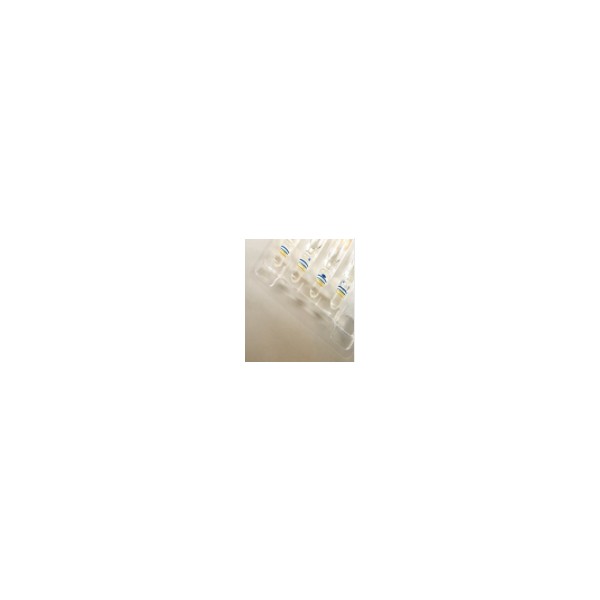PET film