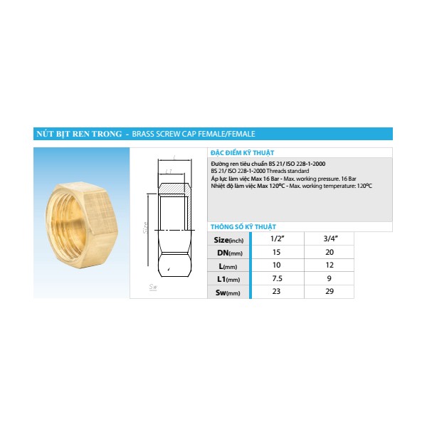 Internal Threaded Plug