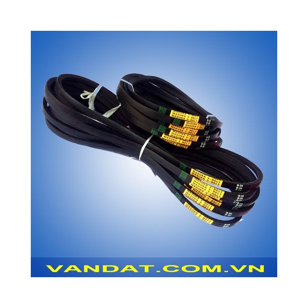 Mascarader Belt Belt