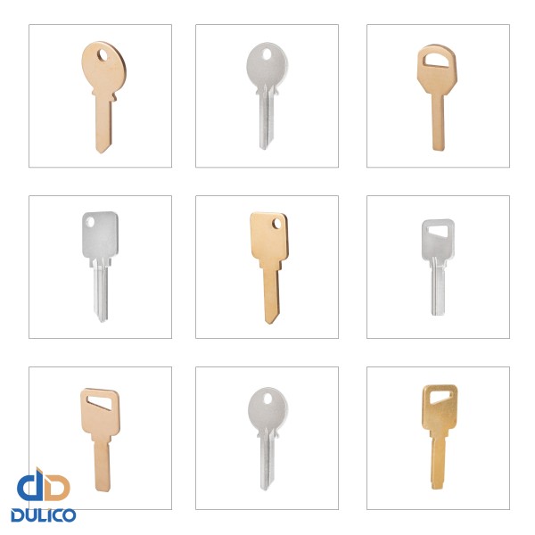 Unprocessed key