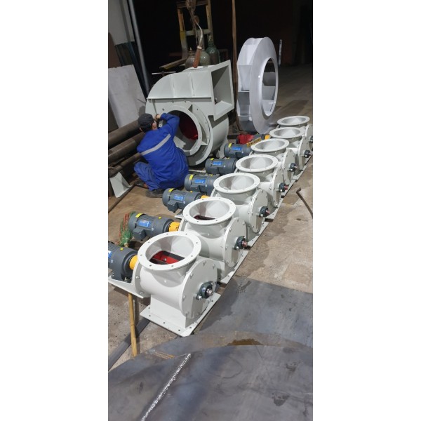 Star valve